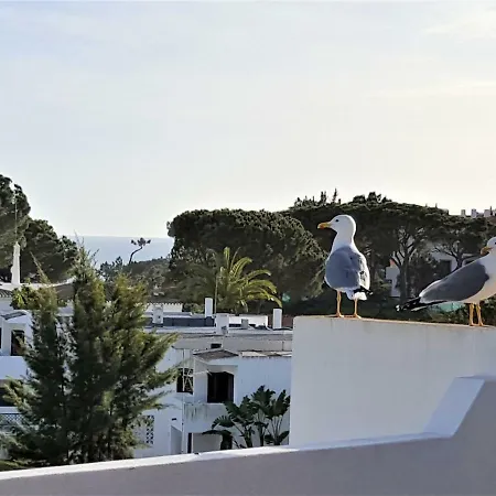 Appartement At A Sea View Top-floor Apt, 500 M From The Beach! Albufeira